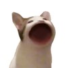 聚果果