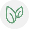 天美麻花果冻,麻花传苏中文版